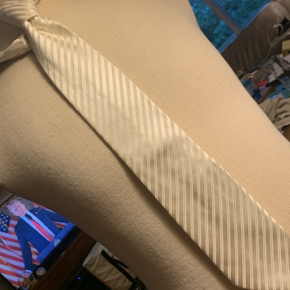 DONALD J TRUMP SIGNATURE CREAM SILK DIAGONAL WEAVE SHADOW STRIPES NECKTIE. - Picture 5 of 12